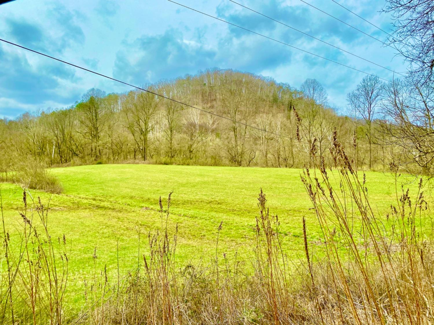 999 South Upper River Road Livingston, KY 40445 - Photo 8 of 11 Photo 8