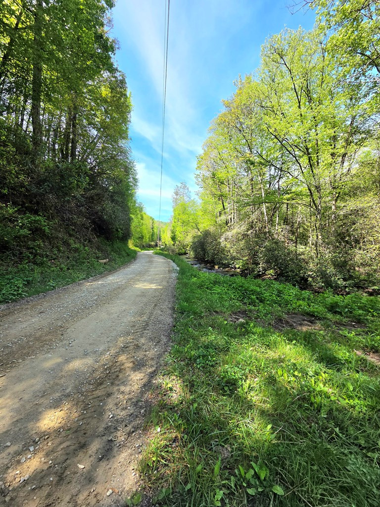 795 Porter Field Gap Road Robbinsville, NC 28771 - Photo 67 of 105