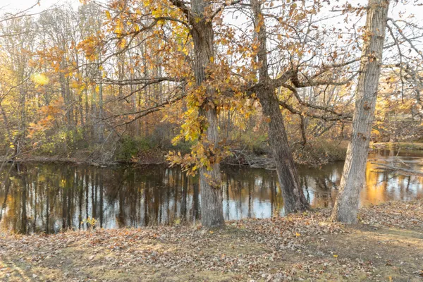 $450,000 | 3733 South Brenlor Drive, Hesperia, MI 49421