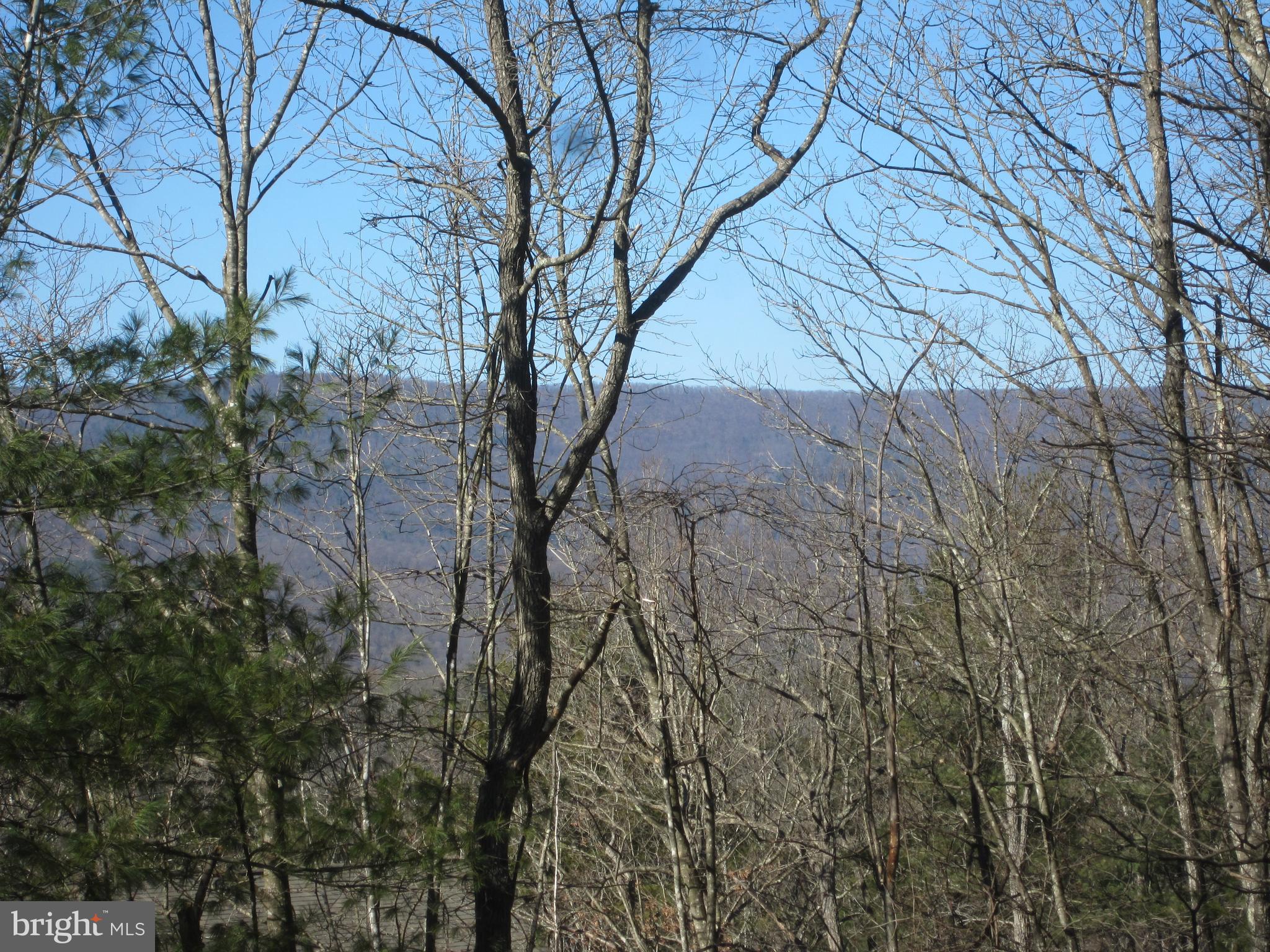 7639 Supinlick Ridge Road Mount Jackson, VA 22842 - Photo 5 of 29 Ridge View from back deck