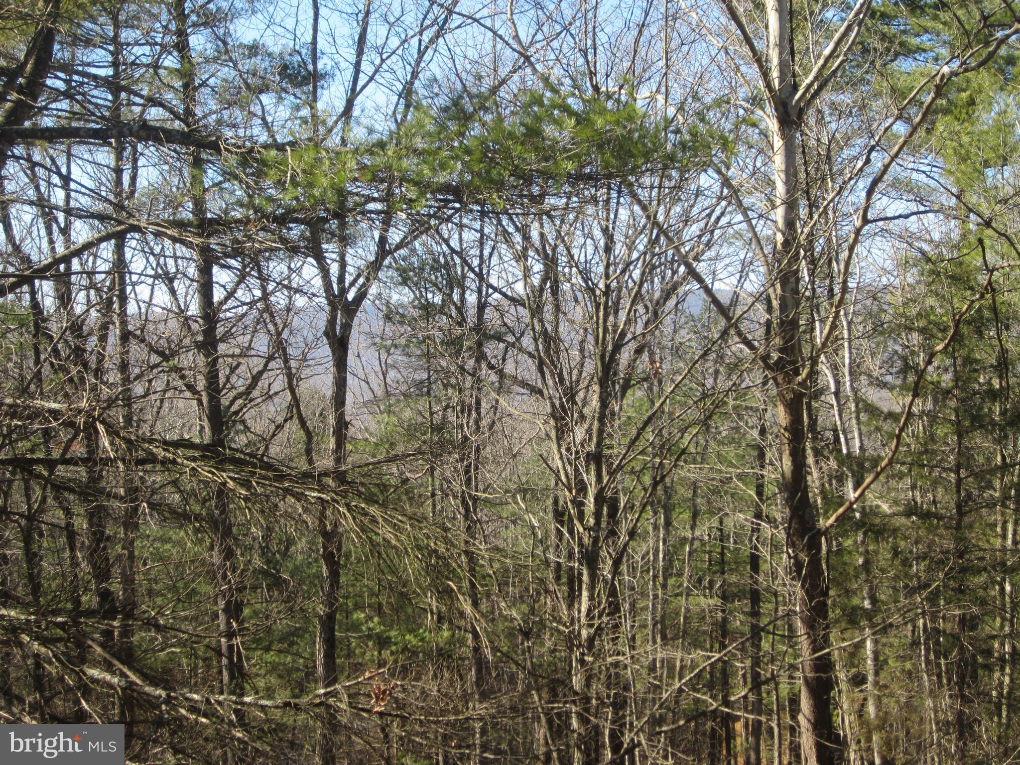 7639 Supinlick Ridge Road Mount Jackson, VA 22842 - Photo 6 of 29 Ridge View from back deck