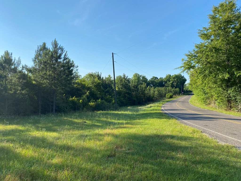 Tbd Indian Trail Road Sylvania, GA 30467 - Photo 2 of 12