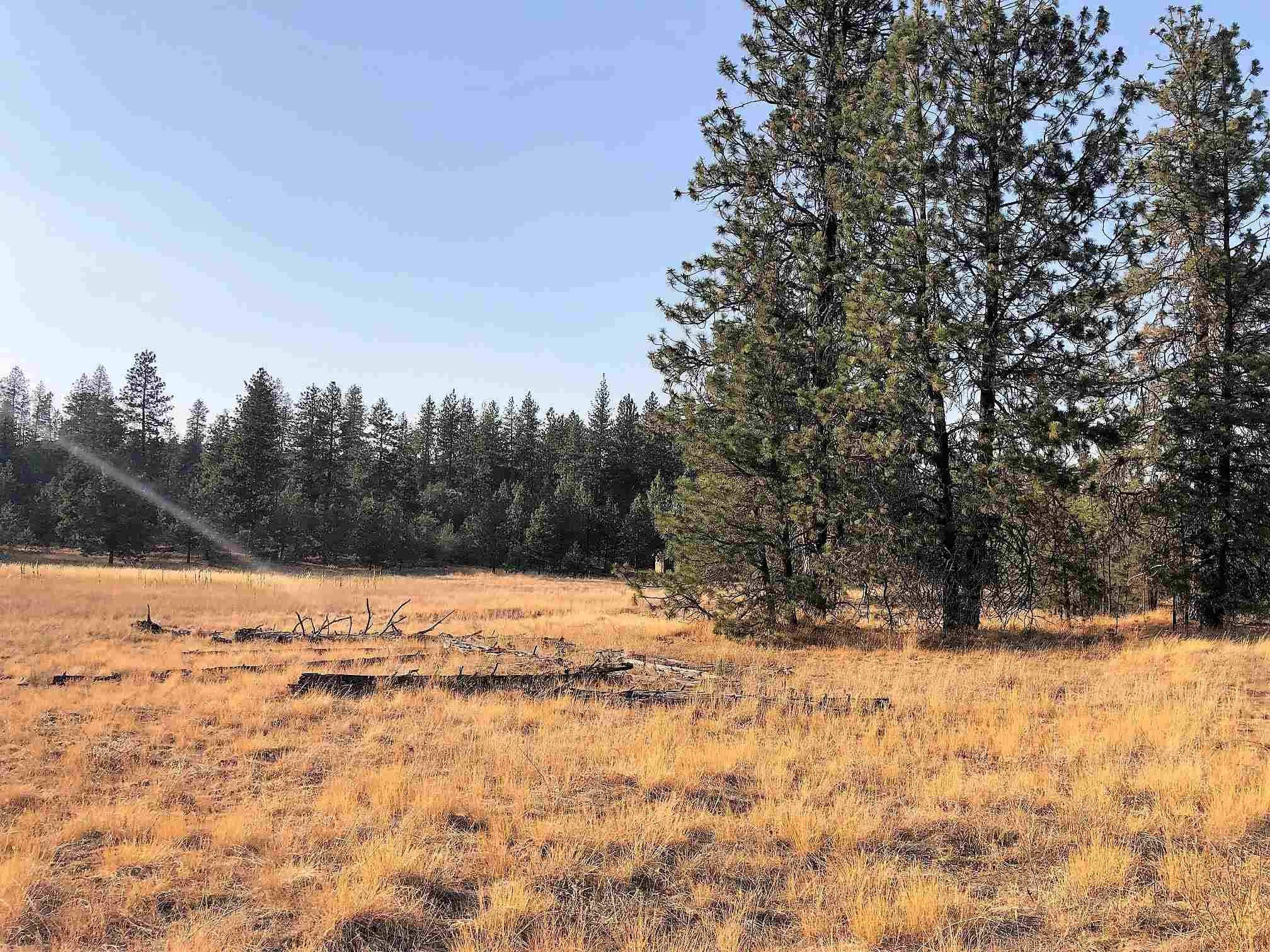 0 North Spotted Road Spokane, WA 99224 - Photo 2 of 37 Gallery Image 2
