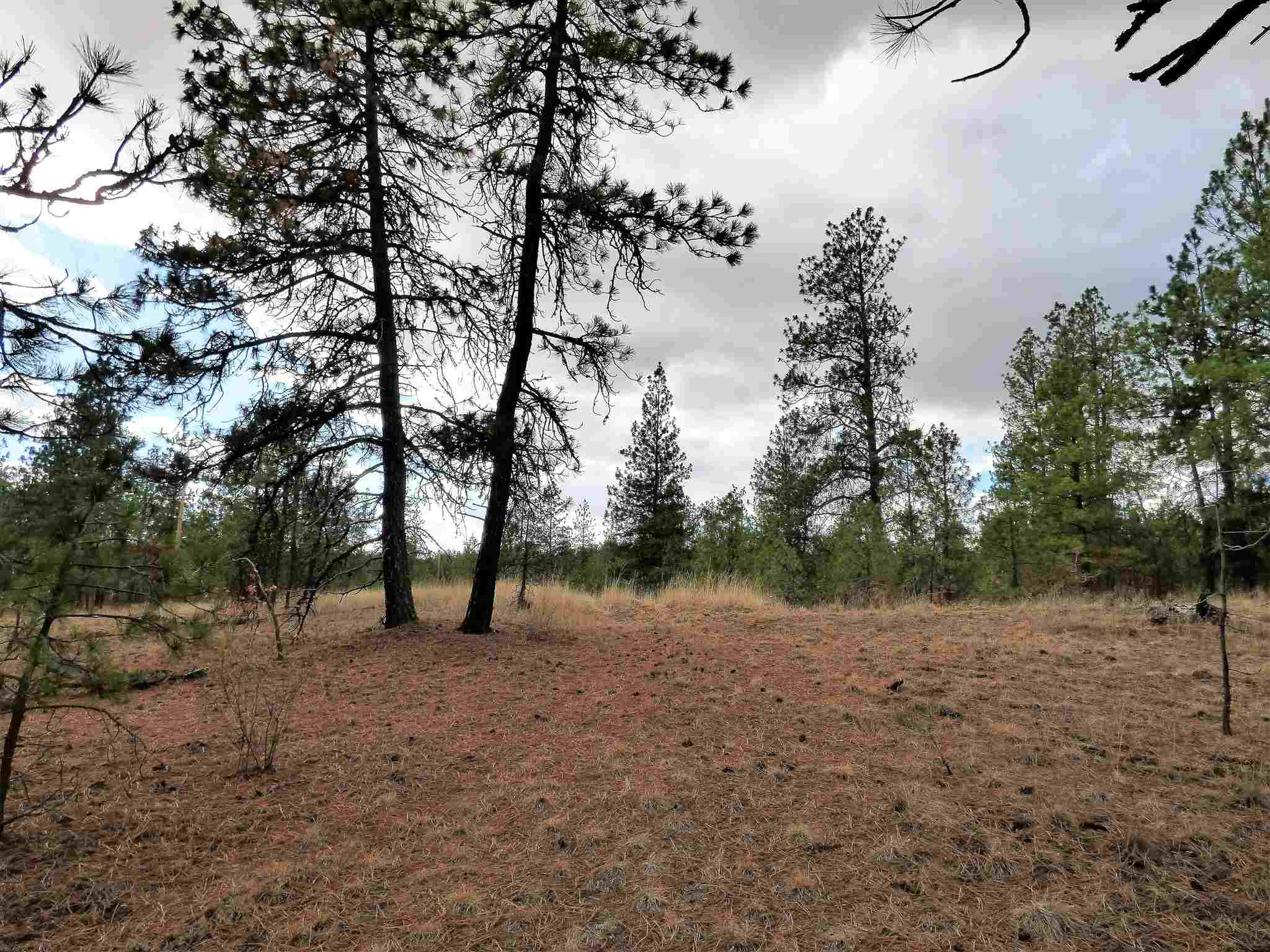 0 North Spotted Road Spokane, WA 99224 - Photo 8 of 37 Gallery Image 8