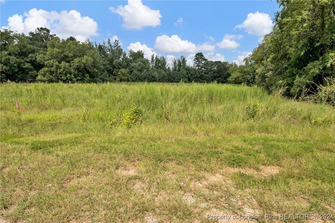 2 Hayes Road Spring Lake, NC 28390 - Photo 3 of 24 Gallery Image 3