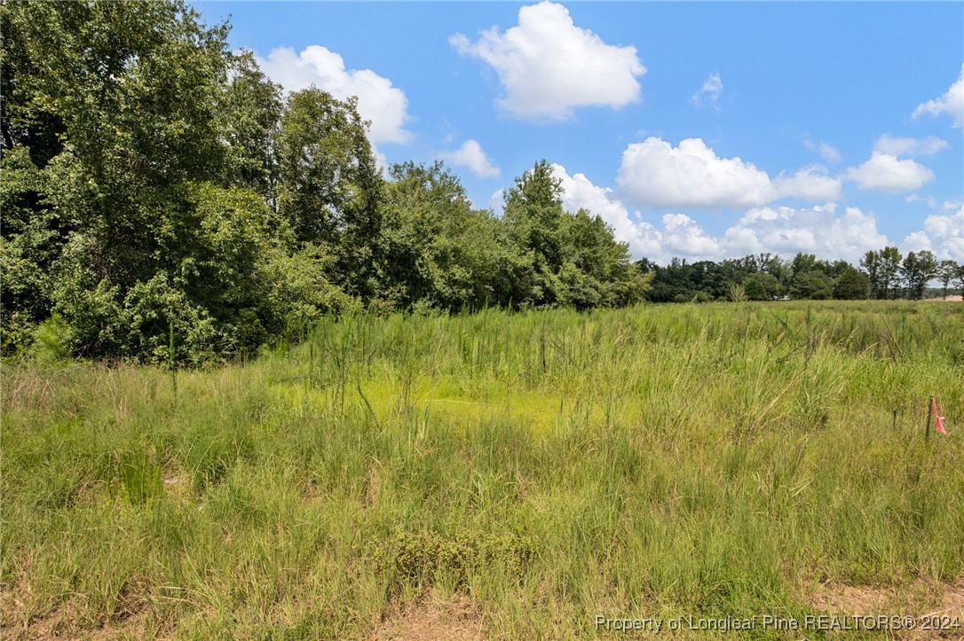2 Hayes Road Spring Lake, NC 28390 - Photo 6 of 24 Gallery Image 6