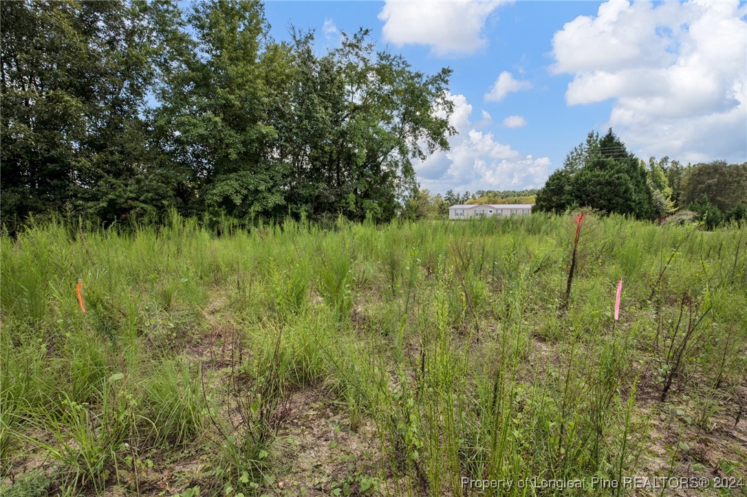 2 Hayes Road Spring Lake, NC 28390 - Photo 7 of 24 Gallery Image 7
