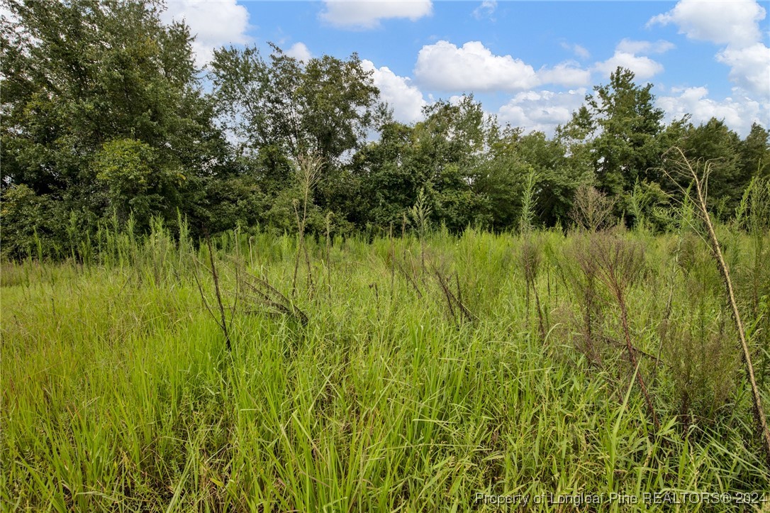 2 Hayes Road Spring Lake, NC 28390 - Photo 8 of 24 Gallery Image 8