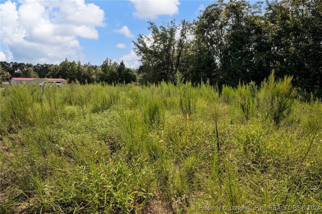 2 Hayes Road Spring Lake, NC 28390 - Photo 10 of 24 Gallery Image 10