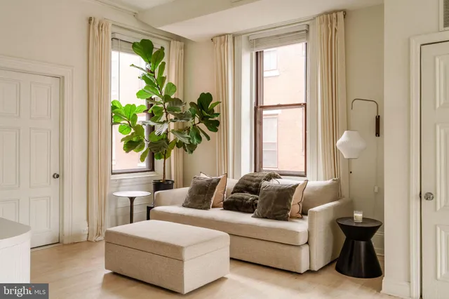 a living room with a couch and a potted plant