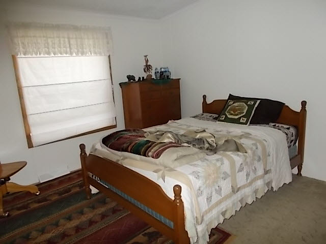 1695 West Erickson Road Linwood, MI 48634 - Photo 3 of 23