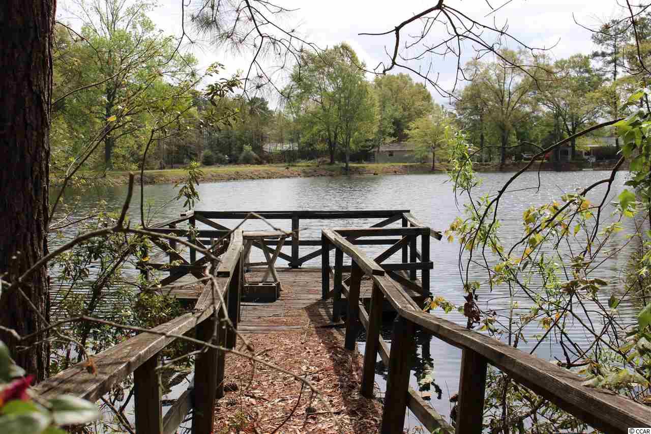 4802 Pauley Swamp Road Conway, SC 29527 - Photo 22 of 25 Gallery Image 22