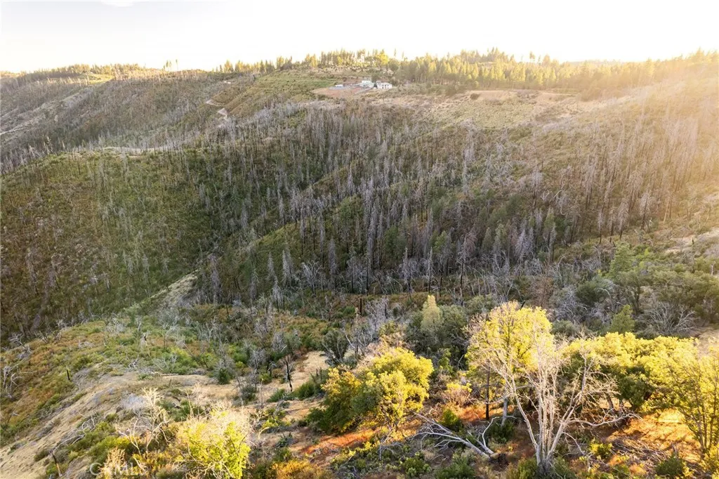 0 Coutolenc Road Magalia, CA 95954 - Photo 24 of 28 a view of a yard with a tree
