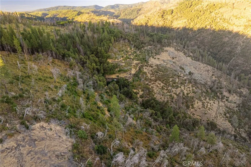 0 Coutolenc Road Magalia, CA 95954 - Photo 27 of 28 a view of a forest with mountains in the background