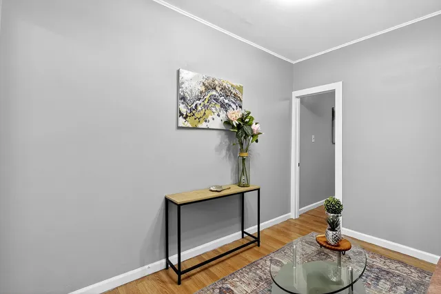 a living room with furniture and potted plant