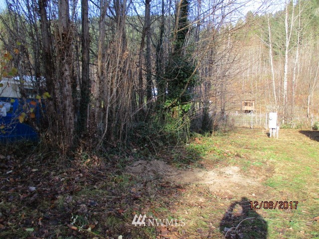 665 Silverbrook Road Randle, WA 98377 - Photo 2 of 22