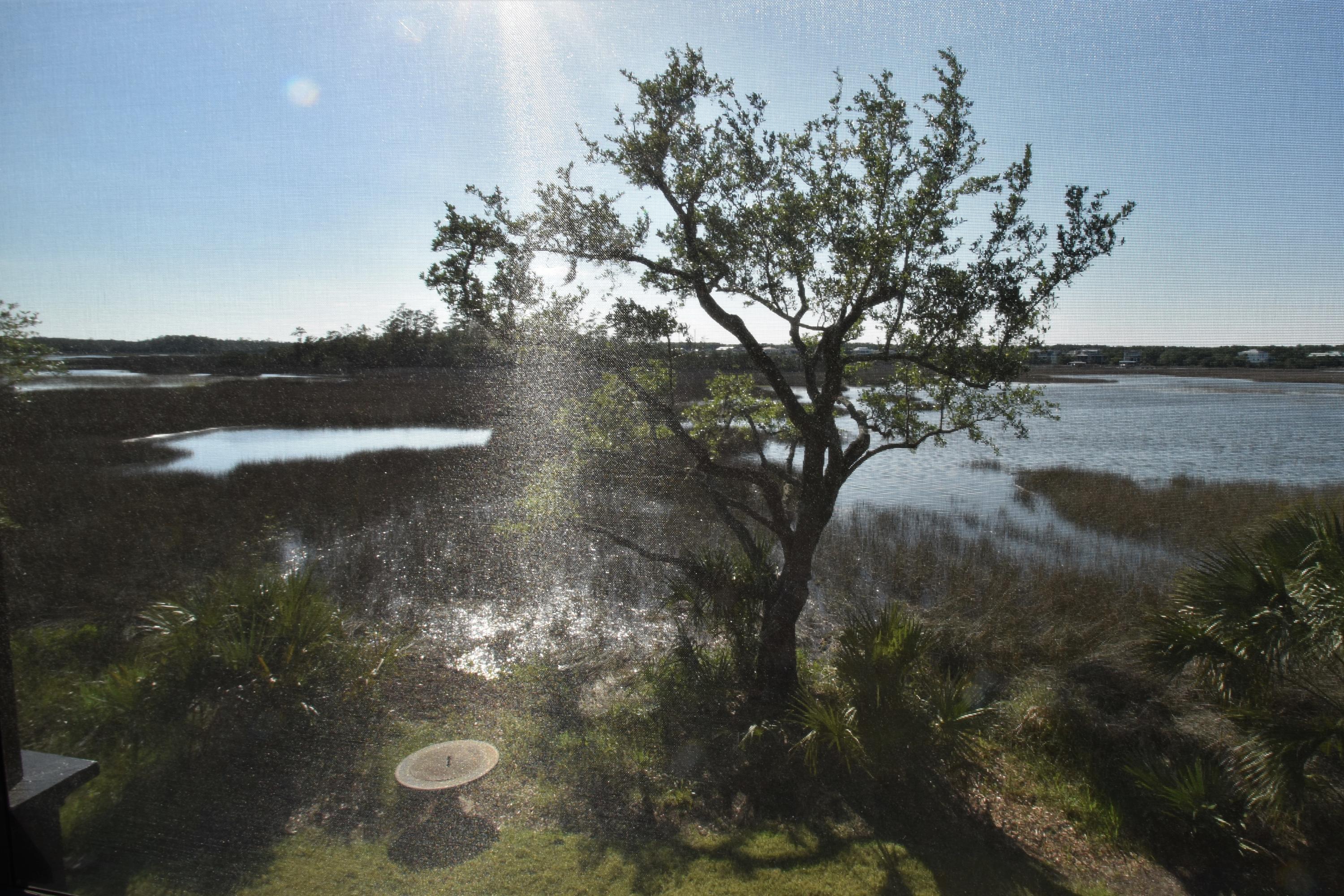 39 Watroo Point Charleston, SC 29492 - Photo 22 of 58 8 - View West