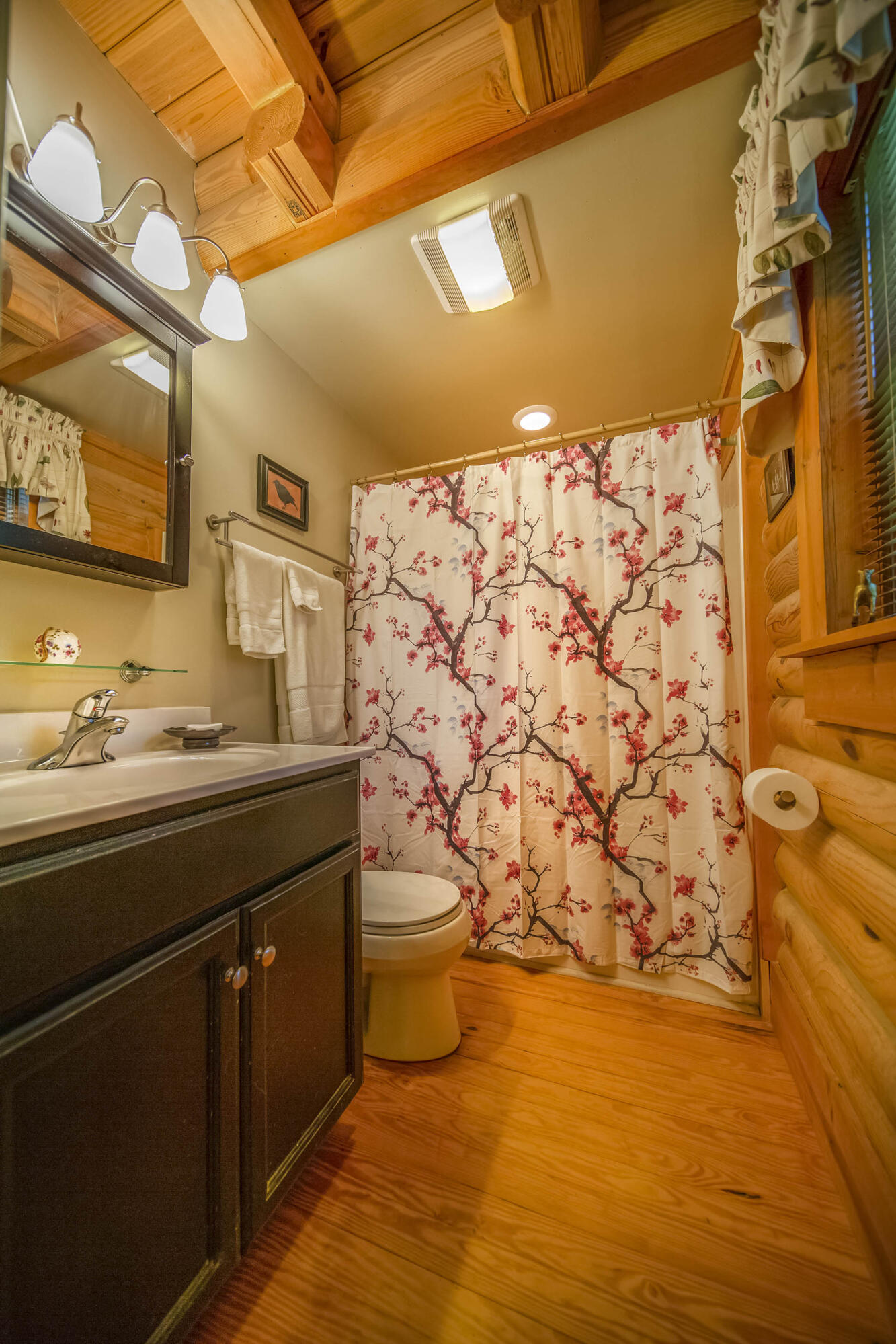 3245 Oak Ridge Road Fincastle, VA 24090 - Photo 18 of 61 Master Bath