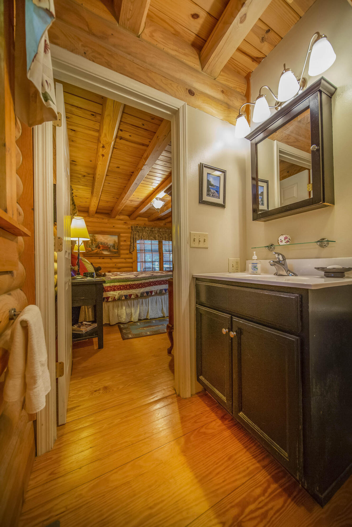 3245 Oak Ridge Road Fincastle, VA 24090 - Photo 19 of 61 Master Bath
