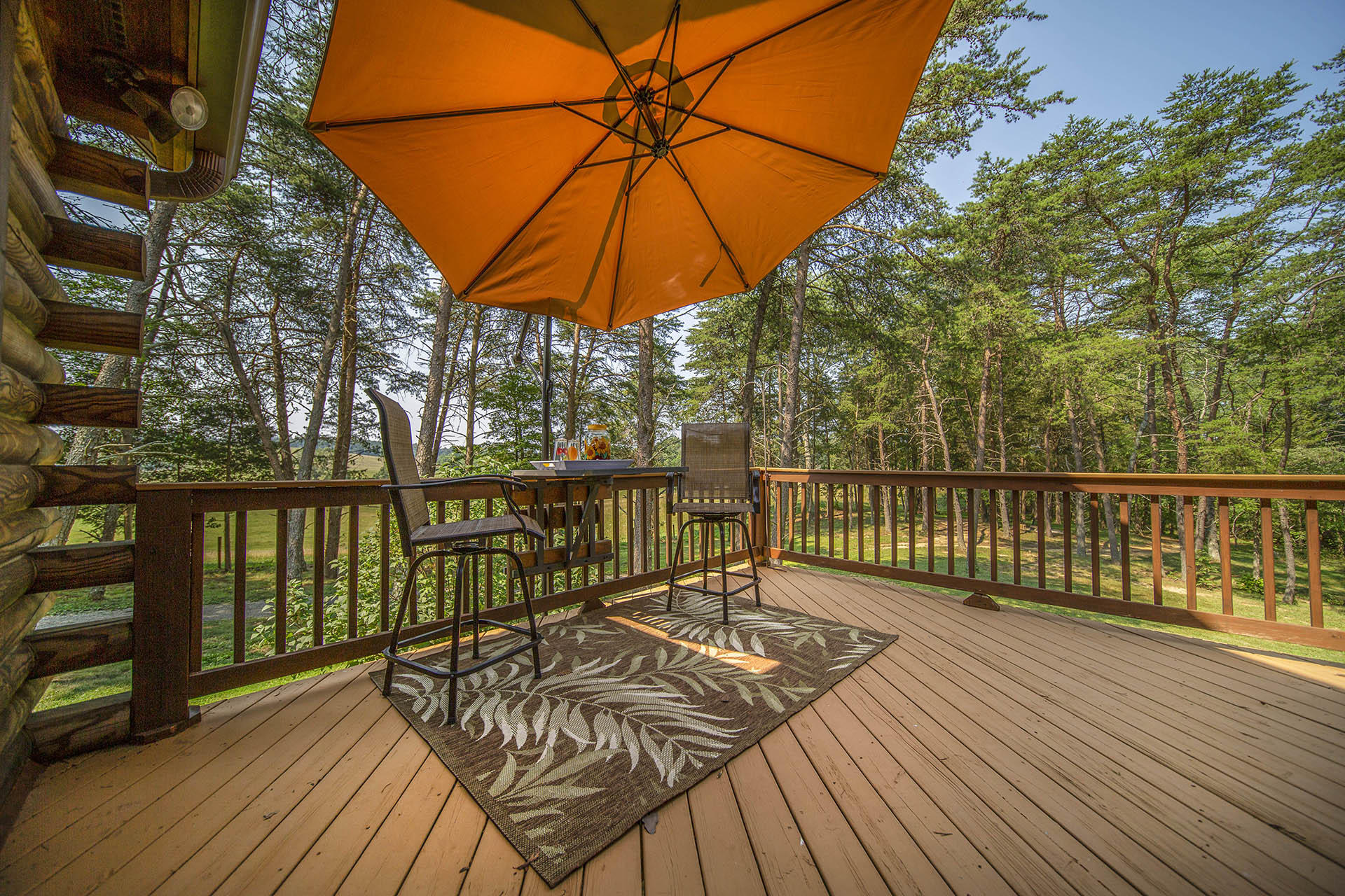 3245 Oak Ridge Road Fincastle, VA 24090 - Photo 37 of 61 Deck