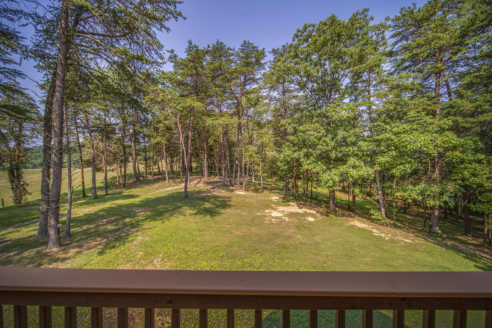 3245 Oak Ridge Road Fincastle, VA 24090 - Photo 39 of 61 5.8 ac