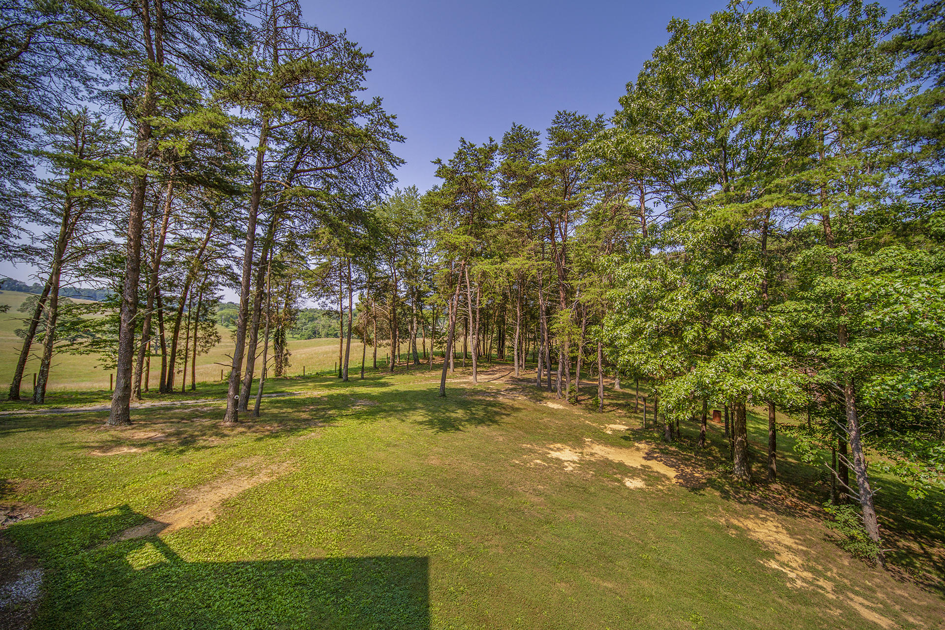 3245 Oak Ridge Road Fincastle, VA 24090 - Photo 42 of 61 Land view