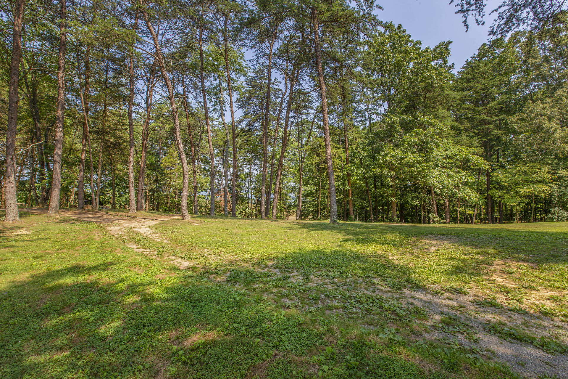 3245 Oak Ridge Road Fincastle, VA 24090 - Photo 44 of 61 Land view