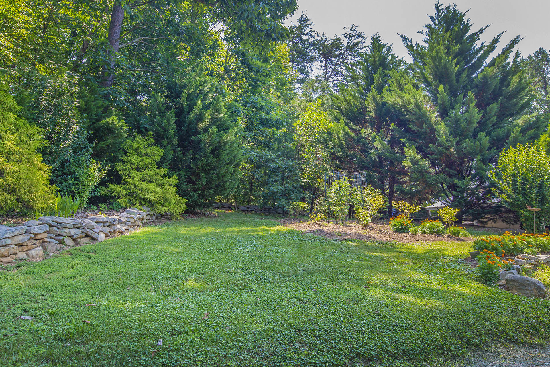 3245 Oak Ridge Road Fincastle, VA 24090 - Photo 49 of 61 Land view