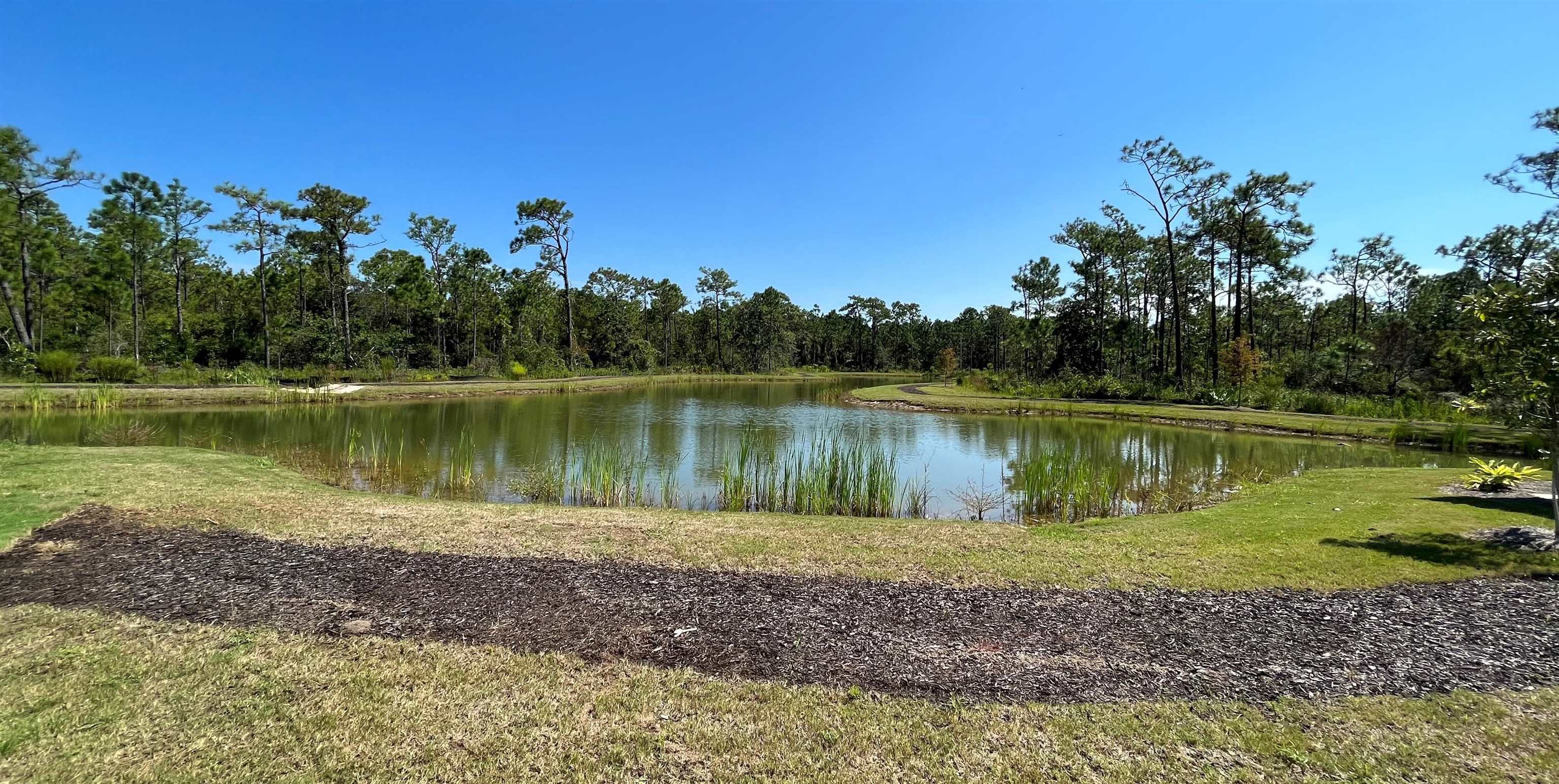 24561 Broken Sound Loop Orange Beach, AL 36561 - Photo 3 of 4
