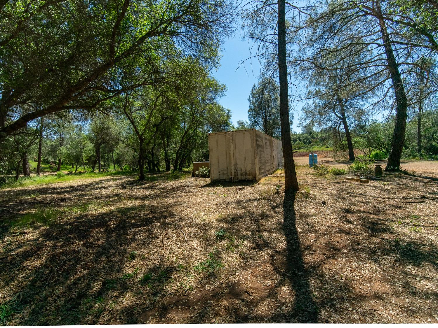3924 Pine Cone Drive Rescue, CA 95672 - Photo 16 of 51