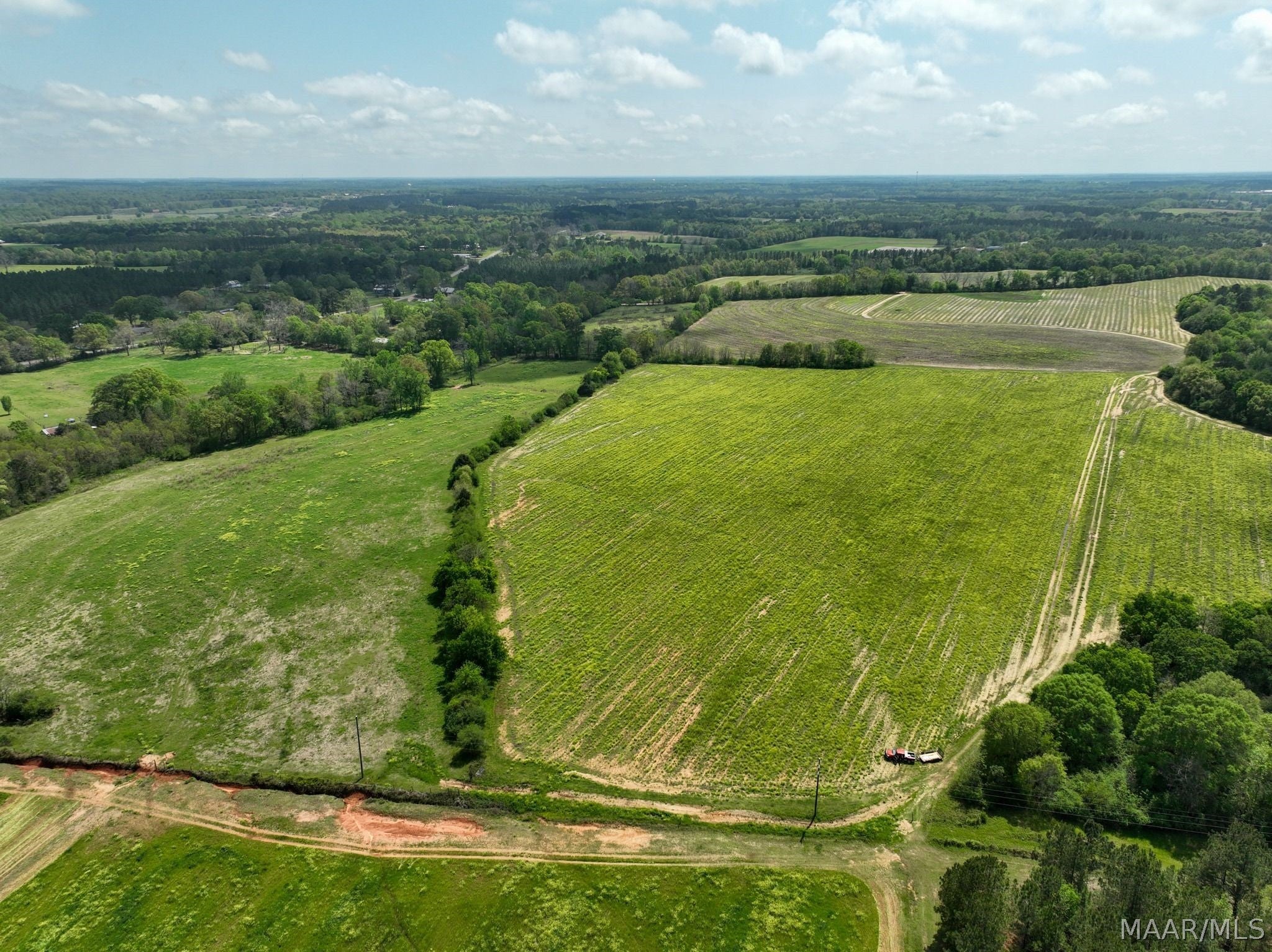 80 Omussee Road Cowarts, AL 36321 - Photo 6 of 15 Gallery Image 6
