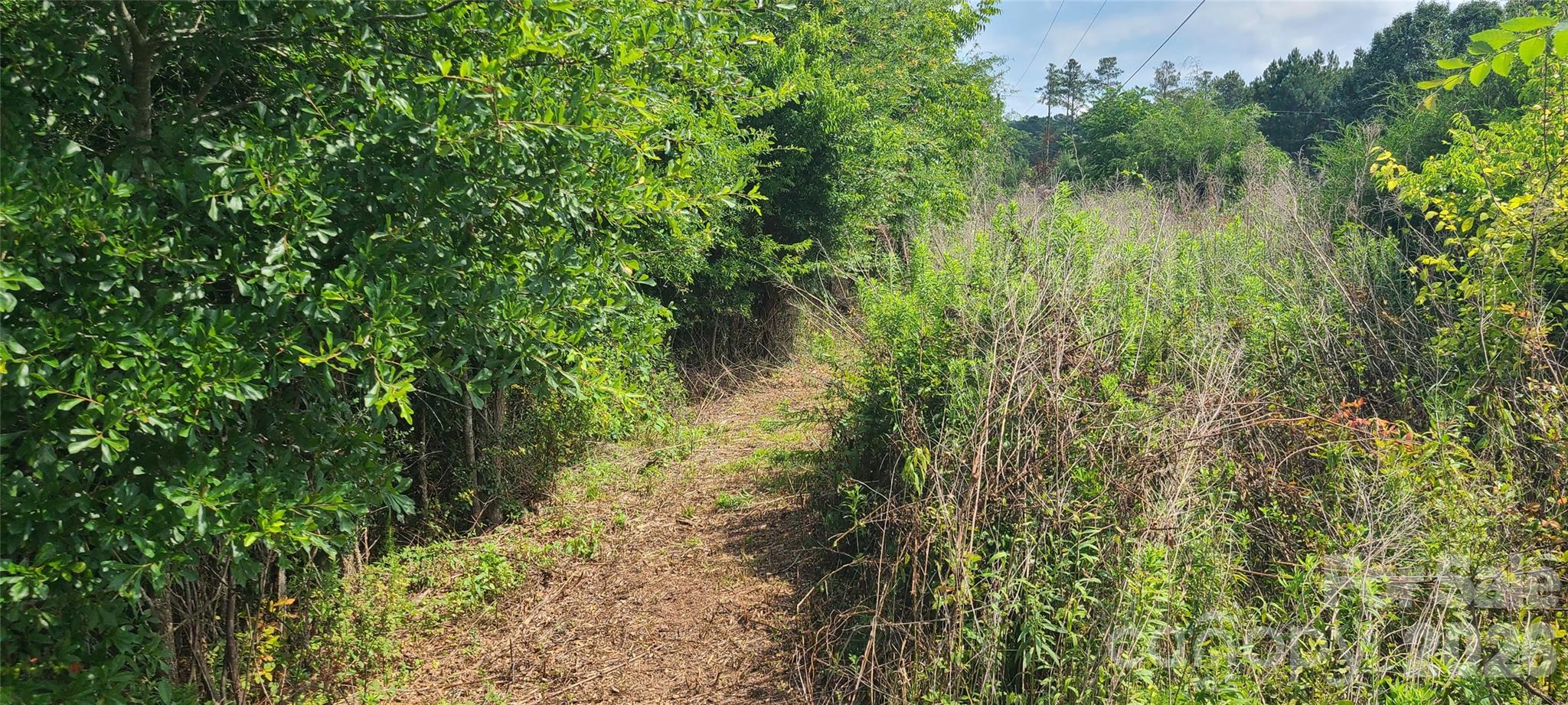 0 Blackwelder Road Indian Land, SC 29707 - Photo 3 of 7