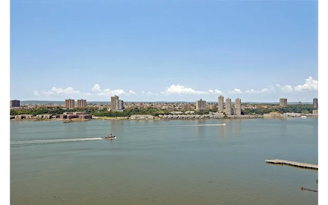 a view of a lake with a city