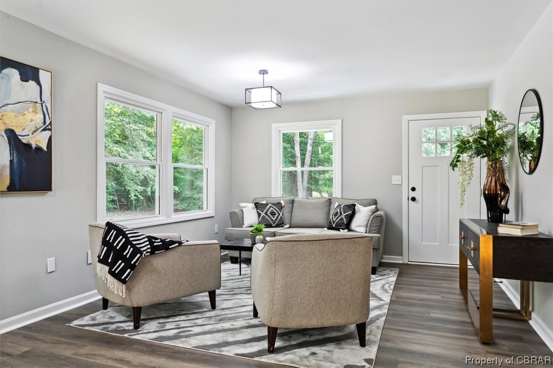 8636 Diascund Road Lanexa, VA 23089 - Photo 23 of 50 Living room featuring light hardwood flooring