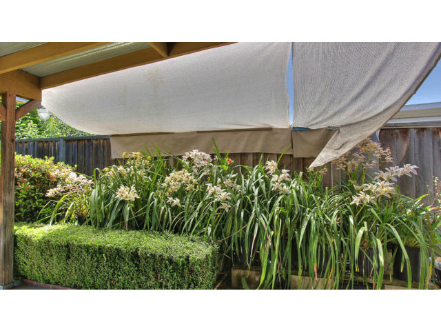 820 East Homestead Road Sunnyvale, CA 94087 - Photo 19 of 20 Gallery Image 19