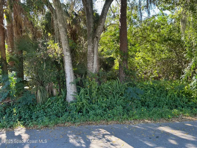 a view of a yard with plants and trees