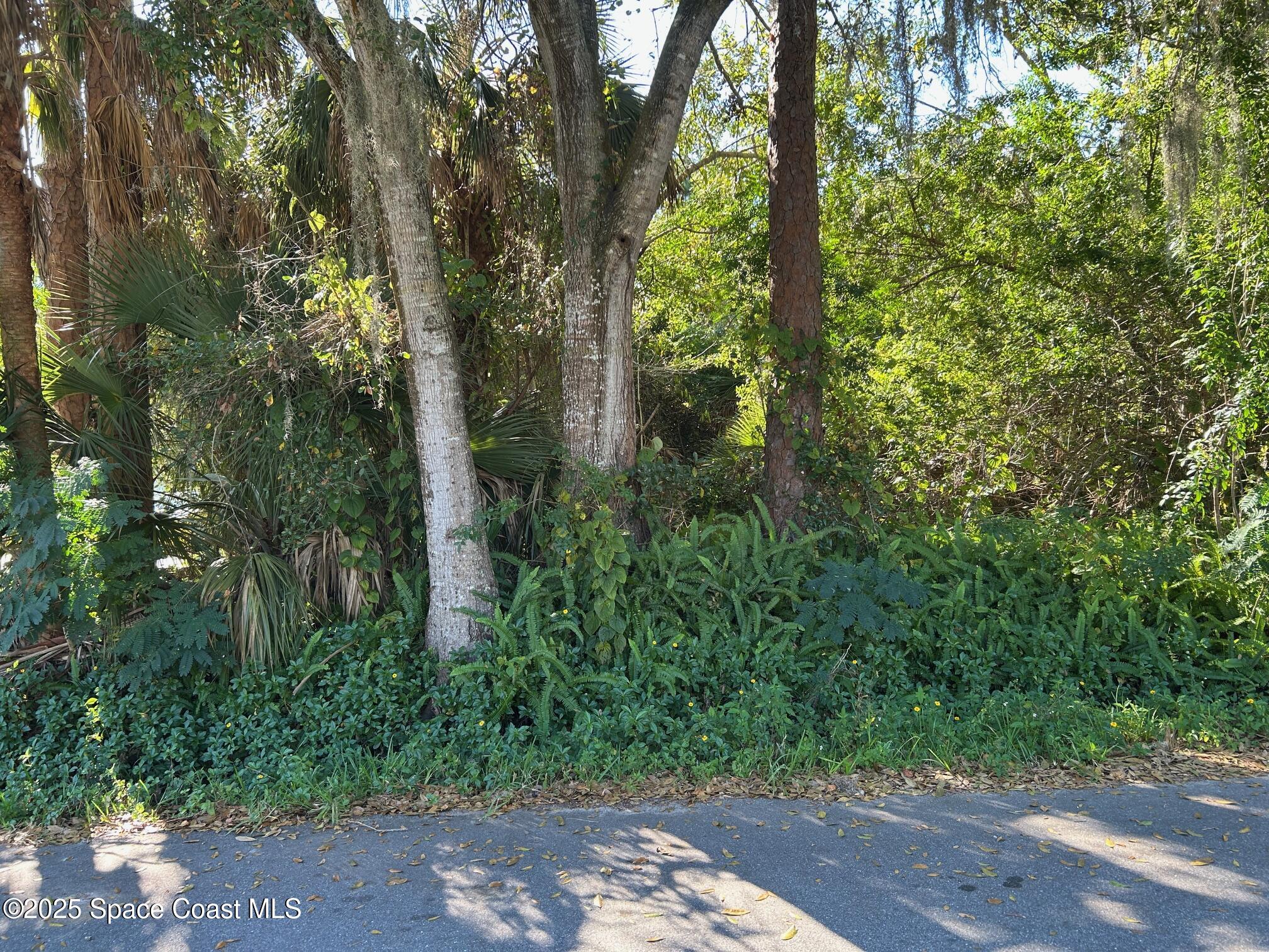 2845 Sunset Road Melbourne, FL 32904 - Photo 12 of 13 a view of a yard