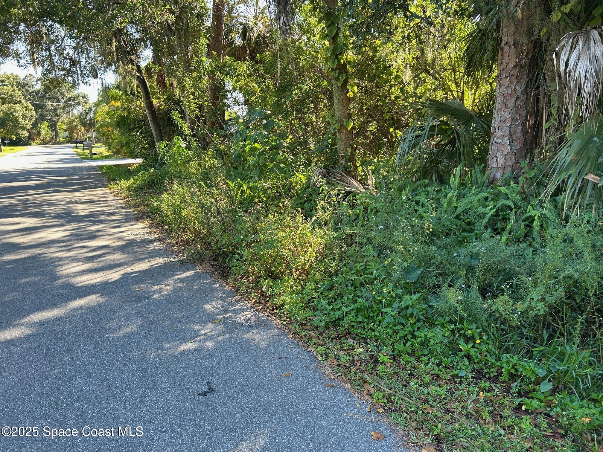 2845 Sunset Road Melbourne, FL 32904 - Photo 13 of 13 a view of a yard with plants and trees