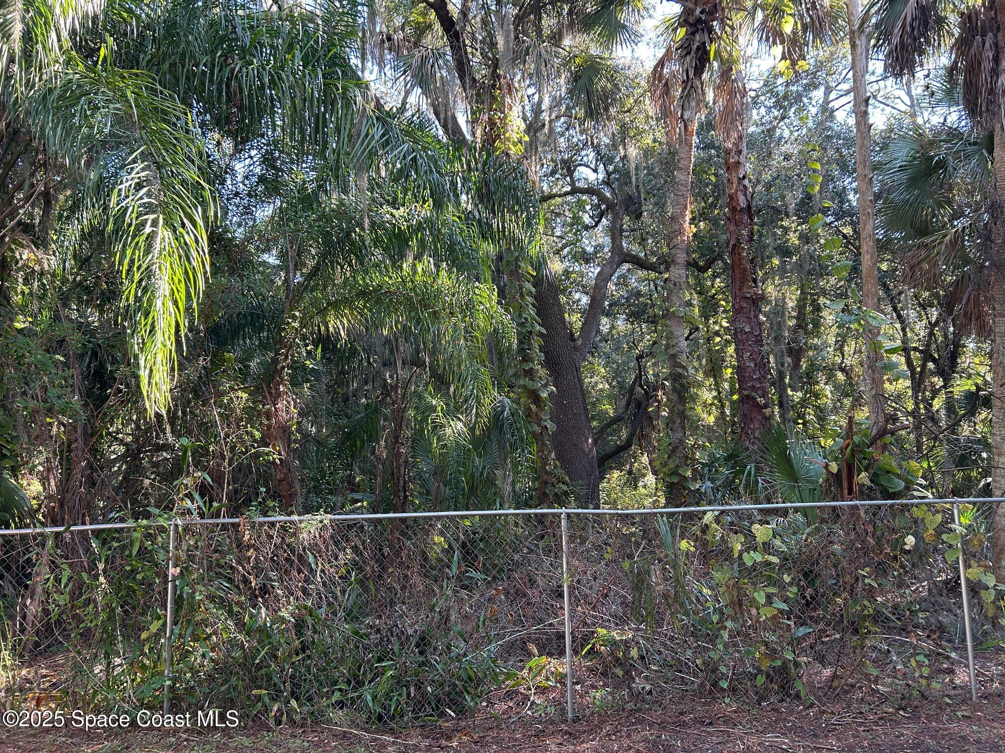 2845 Sunset Road Melbourne, FL 32904 - Photo 6 of 13 a view of a yard and trees