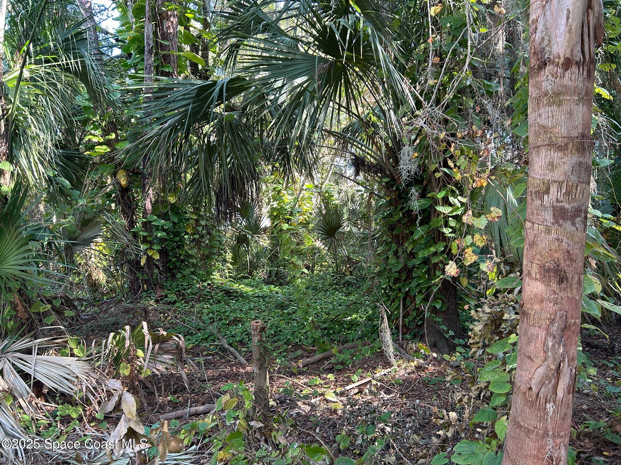 2845 Sunset Road Melbourne, FL 32904 - Photo 9 of 13 a backyard of a house with lots of green space