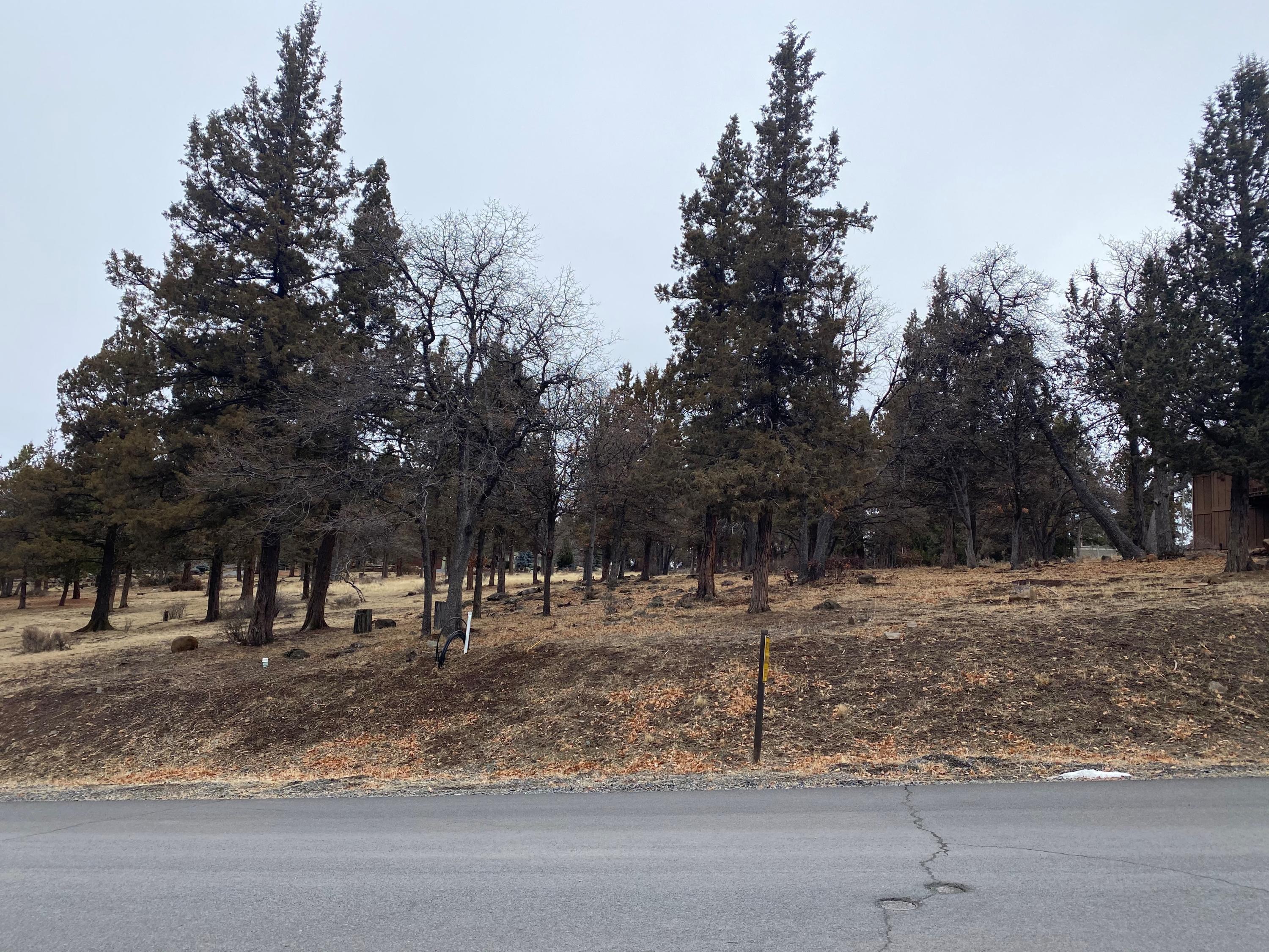 Coopers Hawk Road Klamath Falls, OR 97601 - Photo 1 of 5 Lot 260