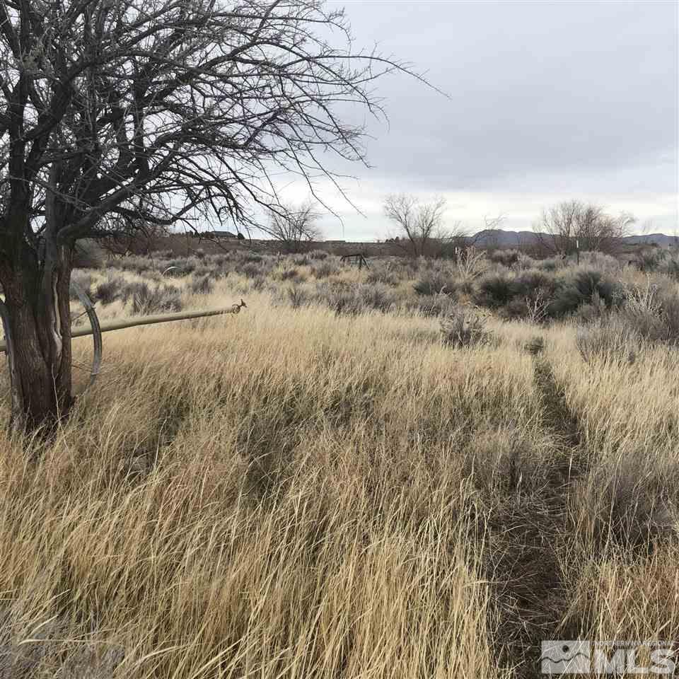 254 Lower Colony Road Wellington, NV 89444 - Photo 11 of 25 Photo 11