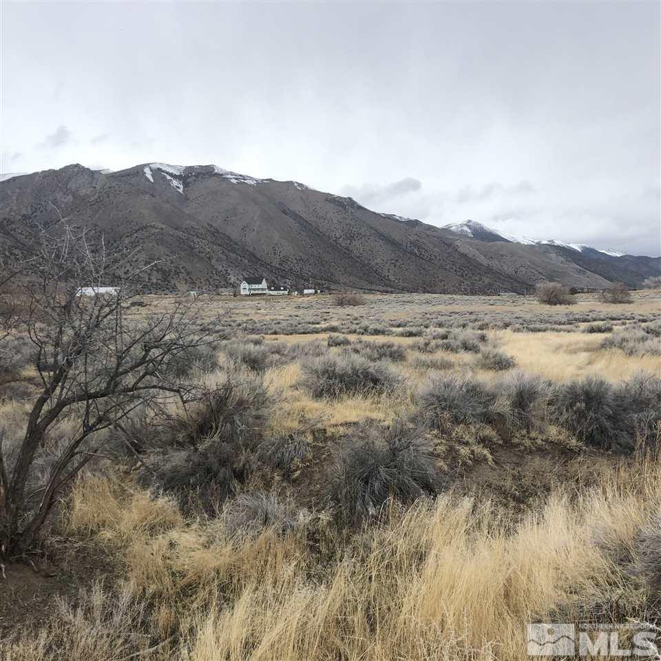 254 Lower Colony Road Wellington, NV 89444 - Photo 6 of 25 Photo 6