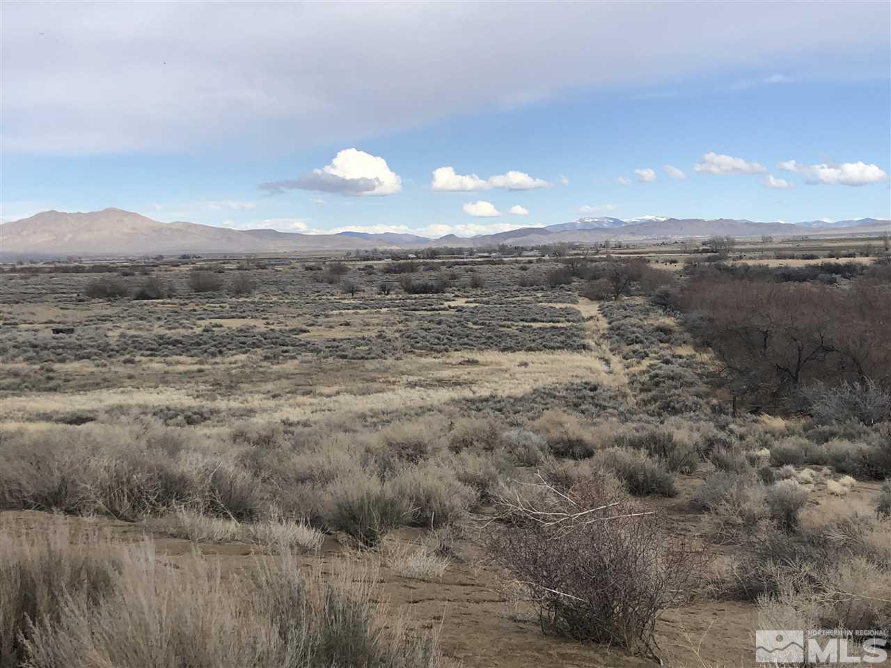 254 Lower Colony Road Wellington, NV 89444 - Photo 7 of 25 Photo 7