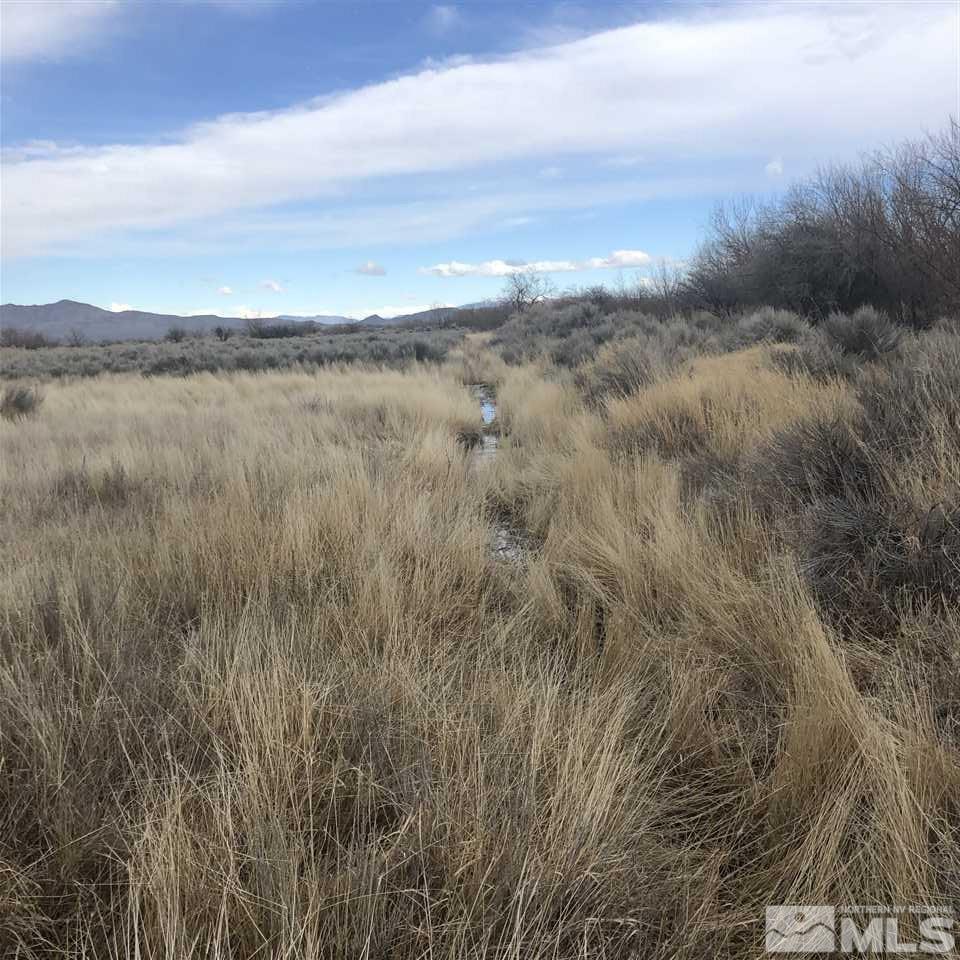254 Lower Colony Road Wellington, NV 89444 - Photo 8 of 25 Photo 8