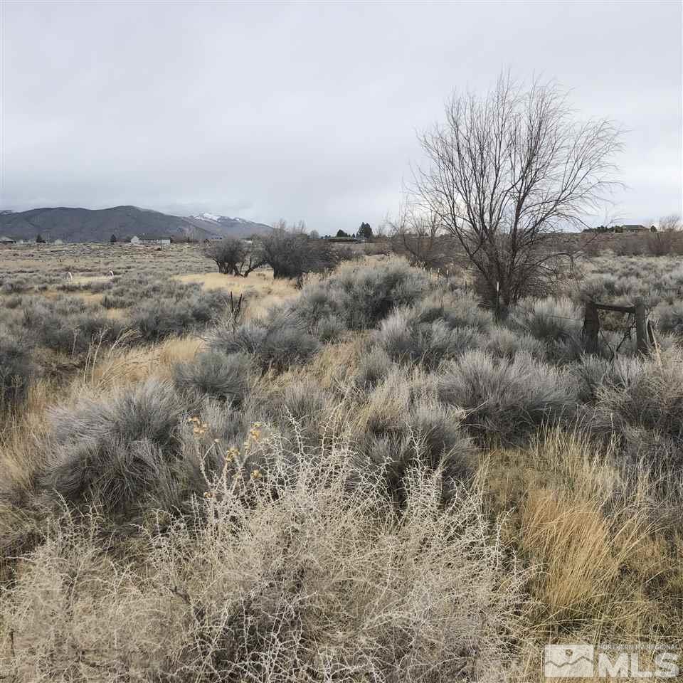 254 Lower Colony Road Wellington, NV 89444 - Photo 9 of 25 Photo 9