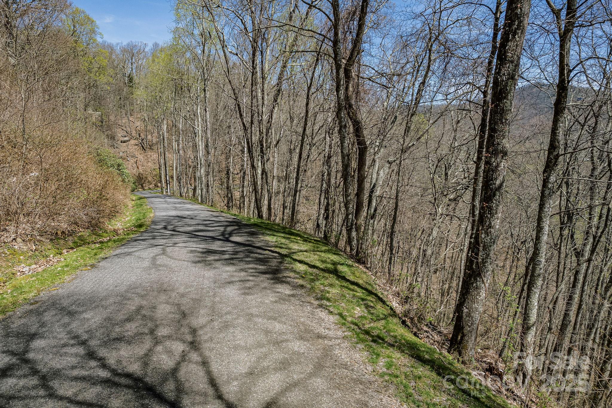 99999 Chestnut Forest Road, Unit 412 & #413 Fairview, NC 28730 - Photo 23 of 36