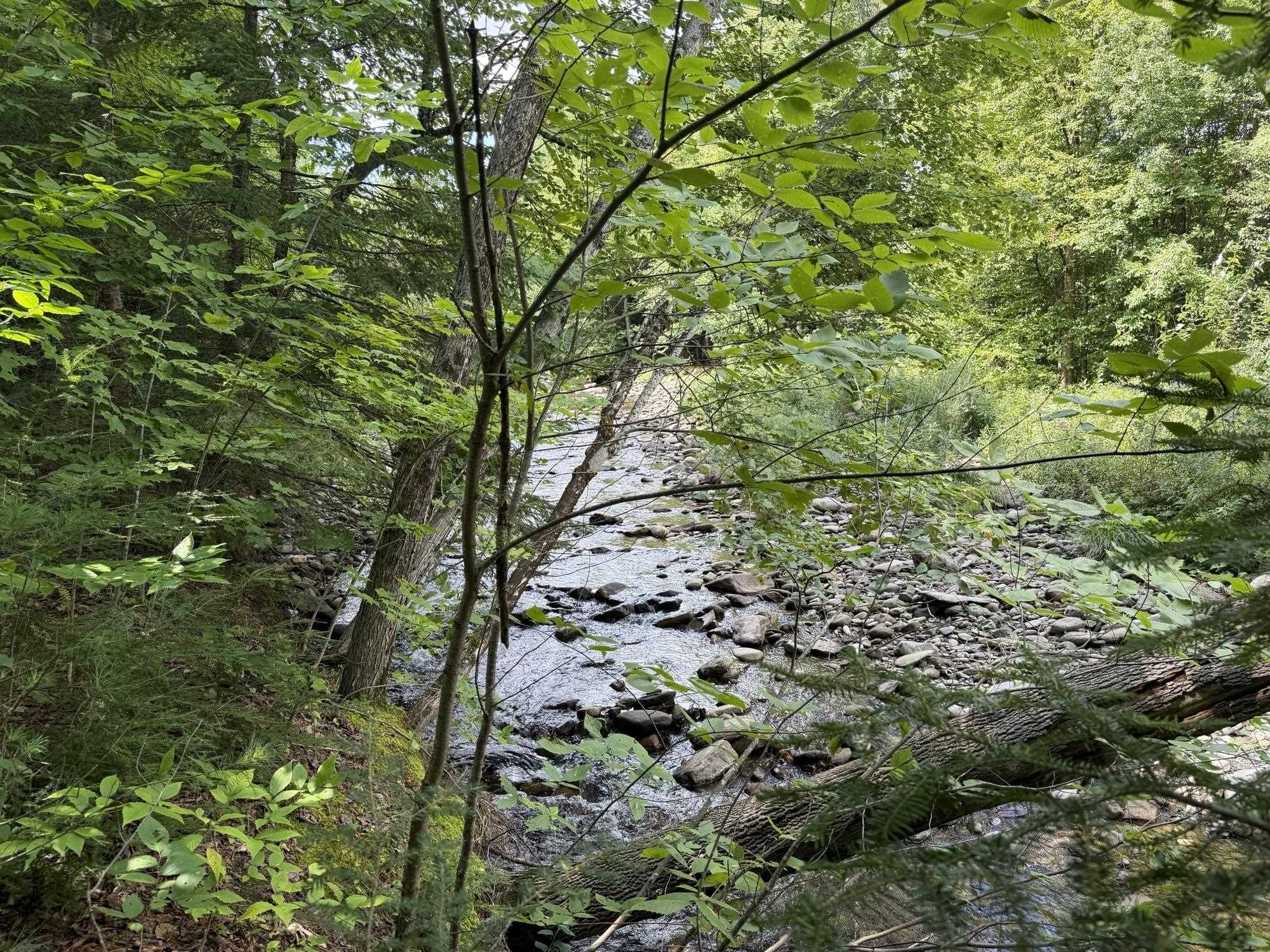 0 Route 242 Road Jay, VT 05859 - Photo 15 of 20 Gallery Image 15