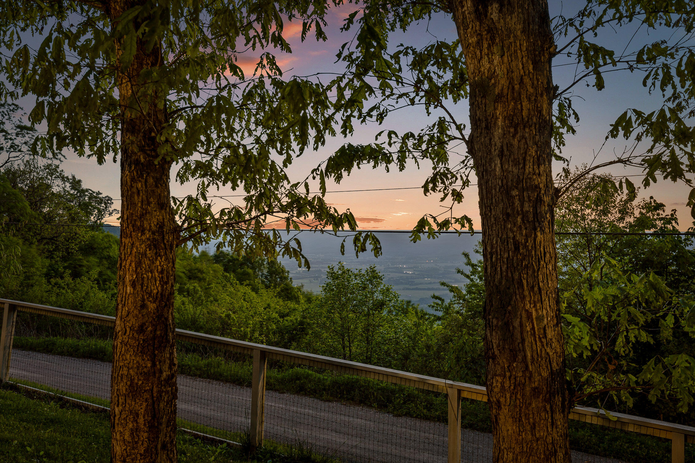 1938 Holloway Ridge Road Spring City, TN 37381 - Photo 60 of 78 Holloway Ridge-40