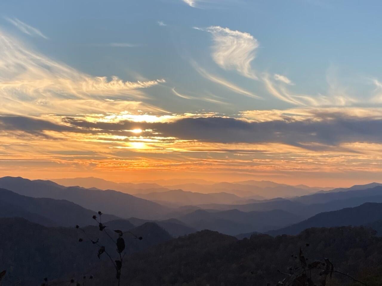 1938 Holloway Ridge Road Spring City, TN 37381 - Photo 6 of 78 IMG_4024